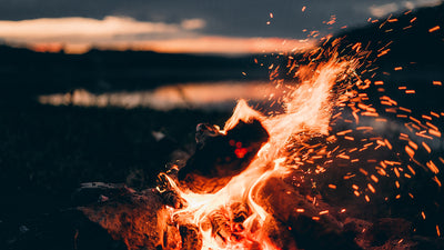 Backup Fire Starters in Plain Sight: 20 Unlikely Sources You Can Forage When You’re Out of InstaFire