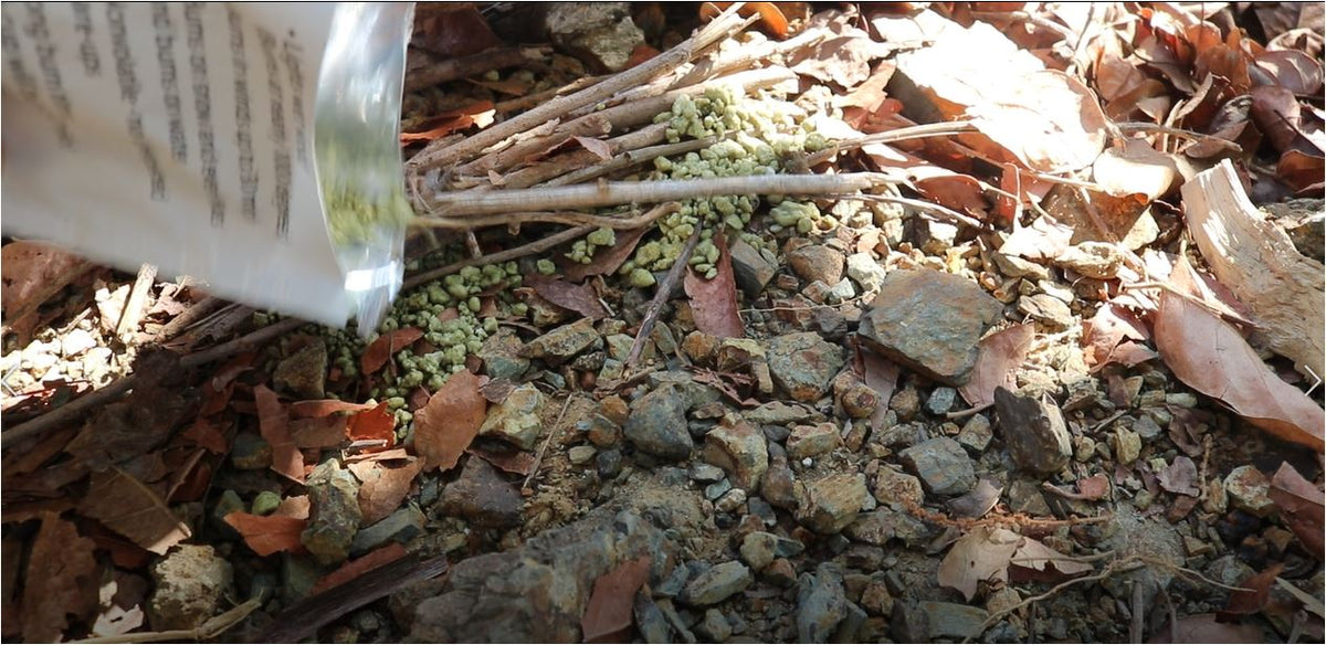 Quick & Easy Fire Lay Lean To Campfire Instructions – InstaFire